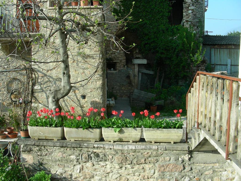 Casa Nadia Villa San Zeno di Montagna Exterior photo